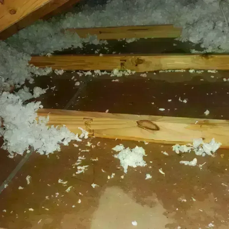 Attic Water Damage in Black Lick, PA